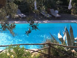 蒙特瓦尔基Ventena Vecchia antico frantoio的蓝色的游泳池,配有椅子和植物