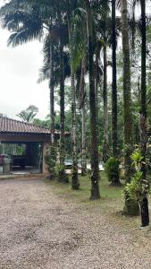 瓜拉图巴Sitio Bonanza的前面有棕榈树的房子