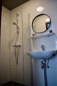 温斯霍滕Hotel Restaurant 't Ronde Loegh的浴室配有盥洗盆和带镜子的淋浴