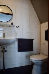 温斯霍滕Hotel Restaurant 't Ronde Loegh的一间带水槽、卫生间和镜子的浴室