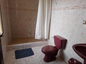 TorotoroHoSTAL SANTA BARBARA的一间带红色卫生间和淋浴的浴室