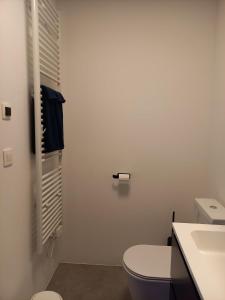 旧蒂尔瑙特Starling的白色的浴室设有卫生间和水槽。