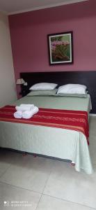 埃尔索韦维奥Hotel Don Enrique的一间卧室配有一张床,上面有两条毛巾