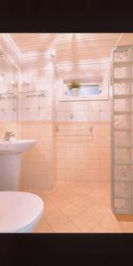 莫斯Mossemarka Guesthouse的带淋浴、卫生间和盥洗盆的浴室