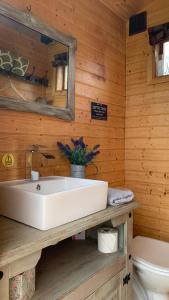 奥斯威斯Willowdene shepherds hut的浴室配有白色水槽和卫生间。