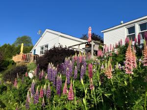 普雷斯科特Dewar's Inn and Cottages的一座花园,在房子前方种有紫色和粉红色的花朵