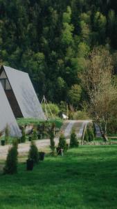 博尔若米Landhaus Borjomi的草上有一排太阳能电池板的房子