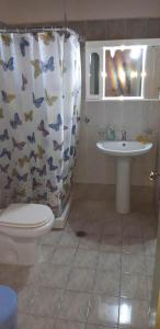 穆兹罗斯Biky's room's的浴室设有卫生间、水槽和淋浴帘