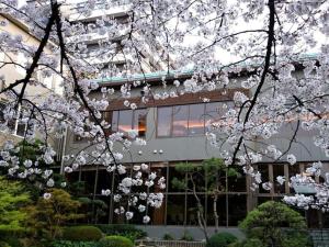 久留米市Suikoyen Hotel - Vacation STAY 46448v的前面有白色花卉的建筑