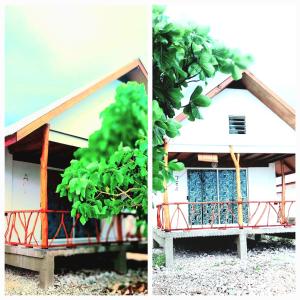 TiputaVaimoe Lodge的两幅带阳台的房子的照片