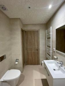Hammamet SudMaison de vacances的一间带卫生间和水槽的浴室