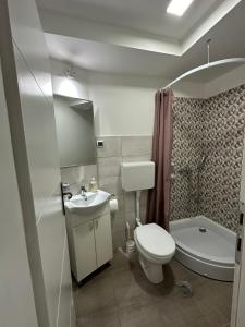 尼什Vila Storia的浴室配有卫生间、盥洗盆和淋浴。