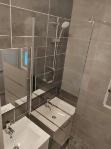 格勒诺布尔Chambre dans Appartement - Grenoble, France à 8 min du centre-ville的浴室设有2个盥洗盆和带镜子的淋浴。