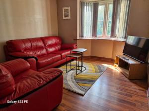 WhistonLanEnd House的客厅配有红色沙发和电视