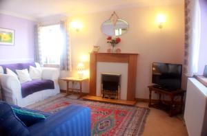 巴里瓦尼奇Comfortable detached 4 bedroomed holiday home的客厅设有蓝色的沙发和壁炉