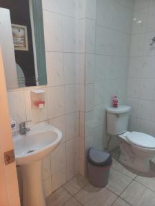 奥瓦列Ovalle Hotel Arauco的一间带水槽和卫生间的浴室