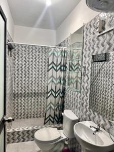 阿亚库乔CASTELLARES LA PUEBLA APARTAMENT的浴室配有卫生间、盥洗盆和淋浴。