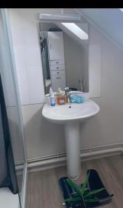 昂热Chambre privée的浴室设有白色水槽和镜子