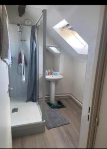 昂热Chambre privée的一间带水槽、淋浴和镜子的浴室