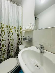 瓦拉斯Kayac Hostel的一间带水槽、卫生间和镜子的浴室