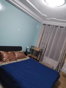 科纳克里Appartement Elegant的一间卧室设有蓝色的床和窗户。