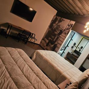 提华纳HOTEL RIO RITA的一间卧室配有一张床和一台平面电视