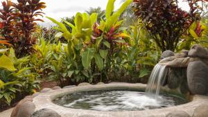 福尔图纳Volcano Lodge, Hotel & Thermal Experience的花园内带瀑布的小池塘