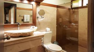 福尔图纳Volcano Lodge, Hotel & Thermal Experience的一间带水槽、卫生间和淋浴的浴室
