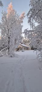 穆奥尼奥Lapland Old School的一条有雪盖的有树木的车道和一座房子