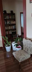 巴加莫约Kaole Cosy Retreat的客厅配有椅子和盆栽植物