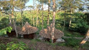 武吉拉旺Eco Conservation Landak Luxury Tents的森林中的小小屋群
