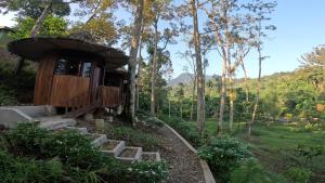 武吉拉旺Eco Conservation Landak Luxury Tents的树林里的一个树屋,有门廊