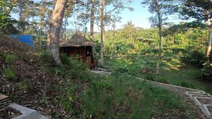 武吉拉旺Eco Conservation Landak Luxury Tents的森林中间的小小屋