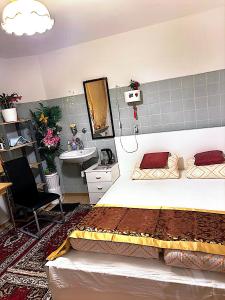 贝希特斯加登中国-假日民宿的一间卧室配有一张床和一个水槽