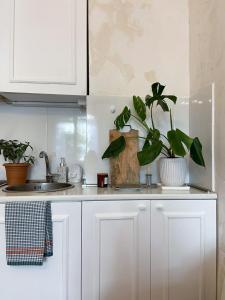 第比利斯Capsula的厨房配有白色橱柜和台面上的植物