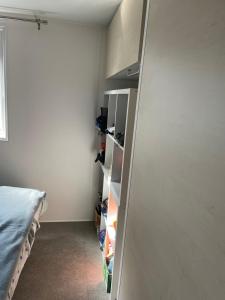 滨海阿热莱斯Mobil home charmant的一间卧室配有一张床和一个衣柜