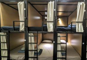 阿德莱德Base Camp Hostel的客房内的一组双层床