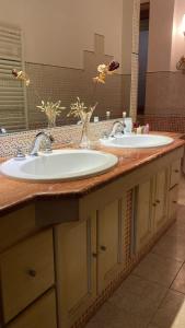 科森扎Luxury Room Cosenza的浴室柜台上装有鲜花,配有两个水槽