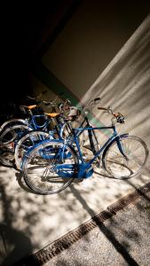 苏黎世Greulich Design & Boutique Hotel的两辆蓝色自行车彼此相邻