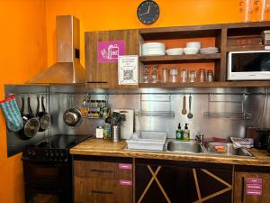 里加顽皮松鼠背包客旅舍的厨房配有水槽和台面