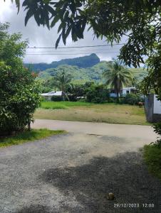 法勒CHAMBRE CHEZ TAPUHERE LODGE的一条空的车道,有树木和山脉