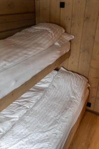 Jutulhytta的木墙客房的两张双层床