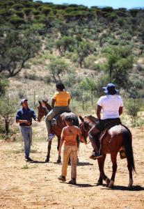 温特和克Valor Wellness Retreat的一群人骑着马在土路上
