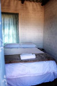 温特和克Valor Wellness Retreat的一间卧室设有两张床和窗户。
