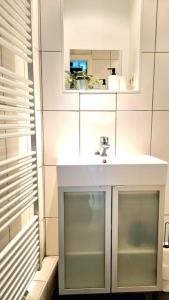 哥廷根City Apartment in Göttingen的浴室设有白色水槽和镜子