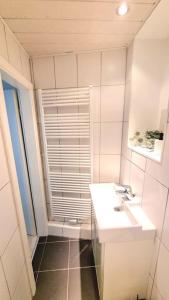 哥廷根City Apartment in Göttingen的白色的浴室设有水槽和窗户。