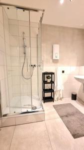 哥廷根City Apartment als Raumwunder的带淋浴的浴室和玻璃门