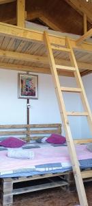 维索科Bosnian Pyramid Glamping的带梯子的客房内的一张木制双层床
