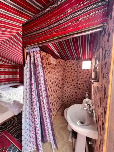 瓦迪拉姆Wadi Rum Trip的一间带水槽和床的小浴室