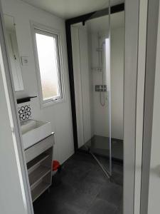 Oye-PlageMobilhome Indien的带淋浴、盥洗盆和镜子的浴室